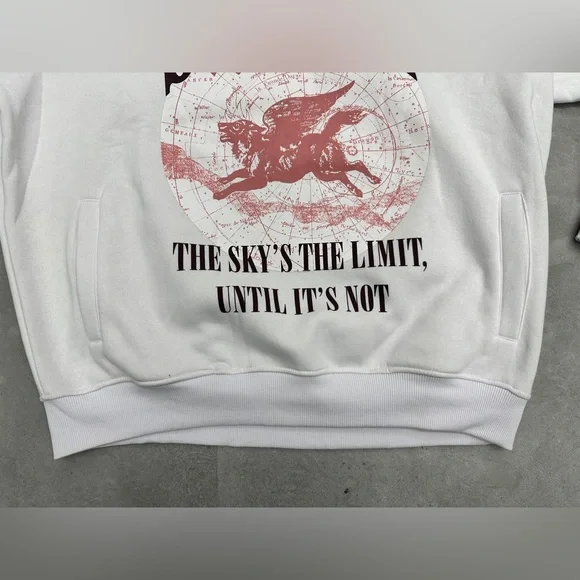 Staple World The Sky's the Limit until it's not hooded sweatshirt - Picture 3 of 6